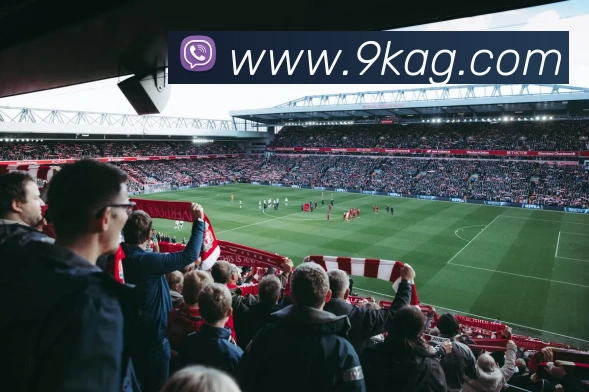 ag官网APP 体育赛事宣传图